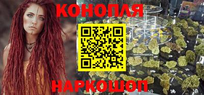 mdpv Заводоуковск