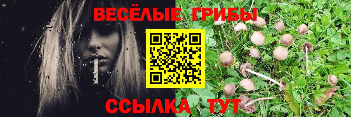 Гуково  Галлюциногенные грибы мицелий  Вход с VPN  Псилоцибиновые грибы MAGIC MUSHROOMS 